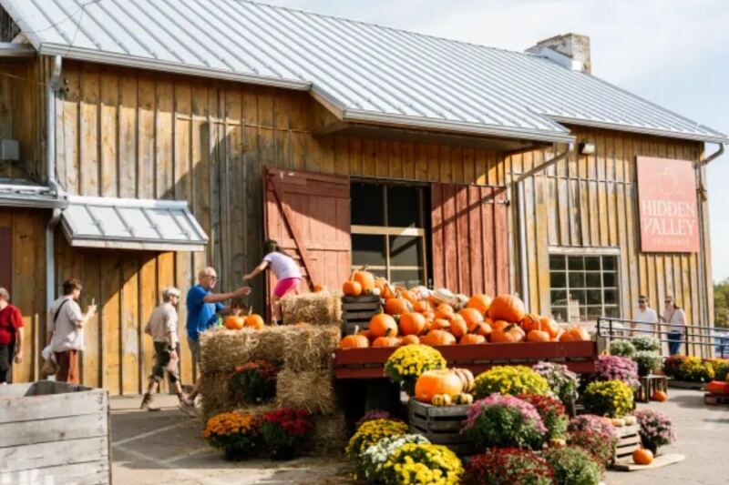Ohio Families Love This Old-School Cider Mill For Its Warm Donuts And Fresh Cider
