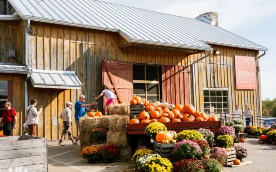 Ohio Families Love This Old-School Cider Mill For Its Warm Donuts And Fresh Cider