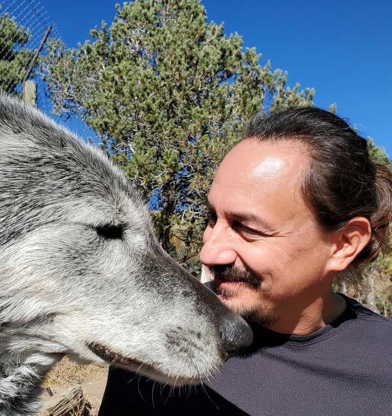 Meeting Wolf-Dogs Up Close, With Rules That Matter Meeting Wolf-Dogs Up Close, With Rules That Matter
