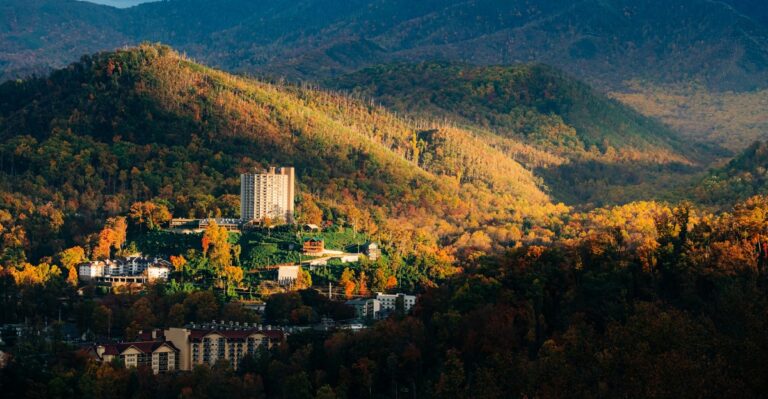 Pack A Lunch And Enjoy Free Fall Views At These 10 Tennessee Picnic Spots