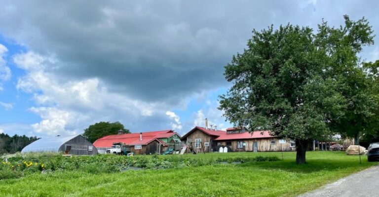 Put The Full Sugarhouse Experience On Your Itinerary At 13 Massachusetts Maple Farms