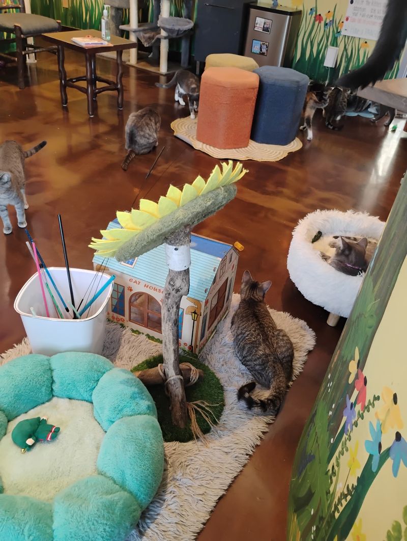 Hundreds of Adoptions and a Mission With Heart