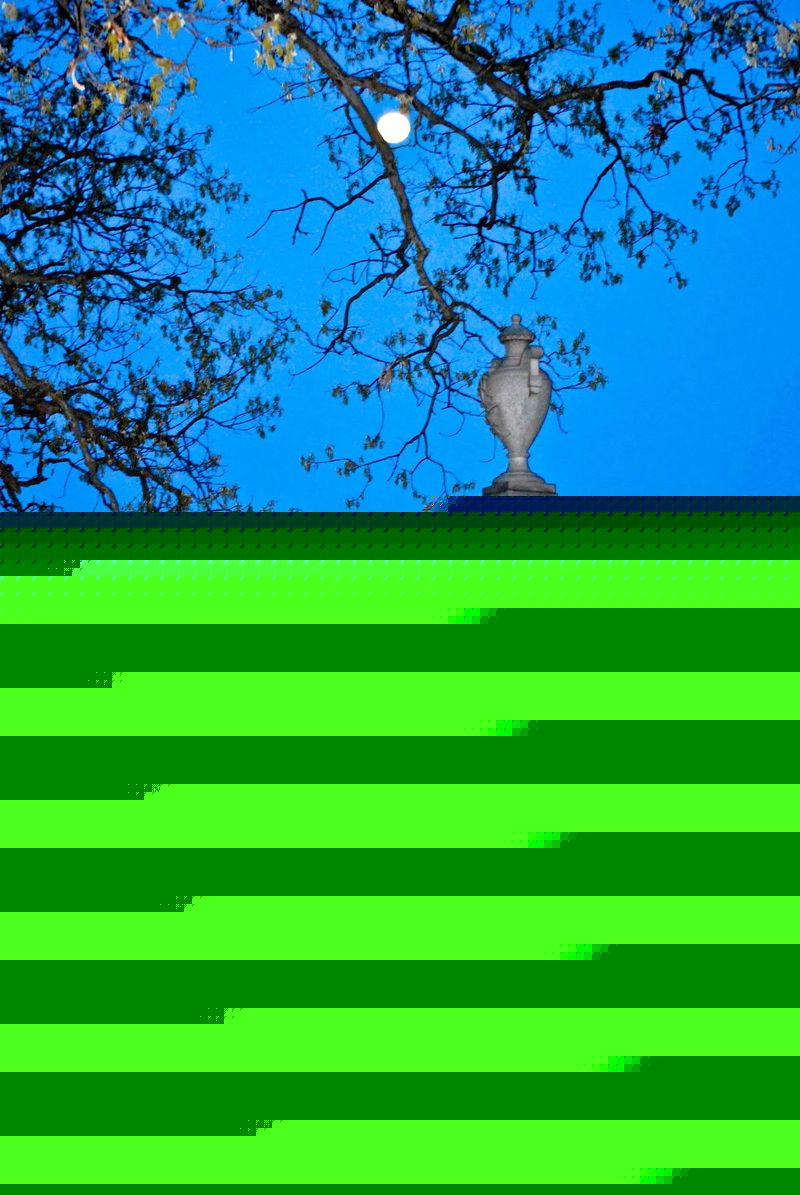 The Haunted Reputation That Follows Greenwood The Haunted Reputation That Follows Greenwood