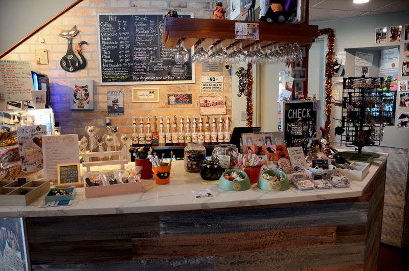 Lattes, Chicken Salad, and Cookies You Should Not Skip