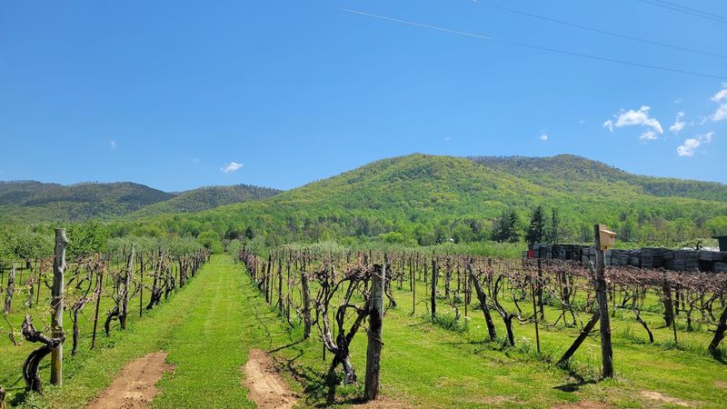 Fresh Cider And Fried Pies Give Visitors More Reasons To Stop