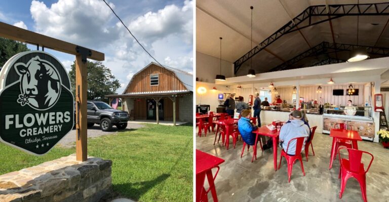 Skip The Trip To Wisconsin And Visit These 9 Tennessee Farm Creameries Instead