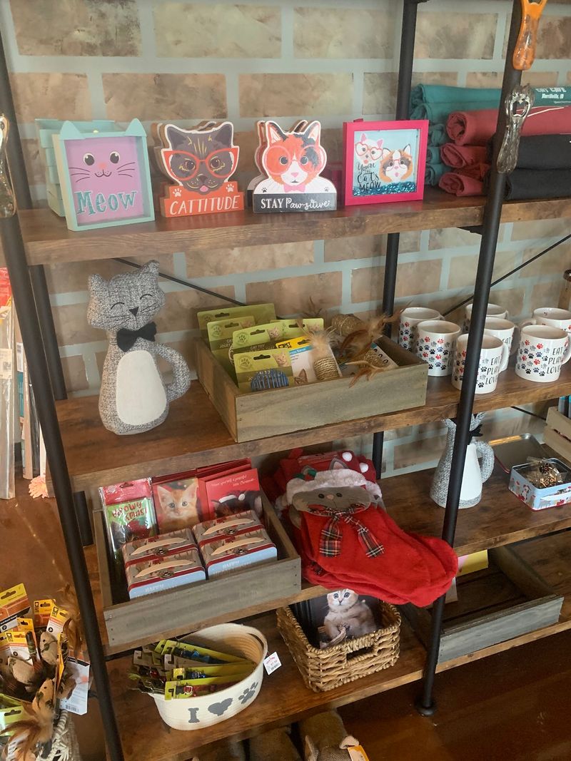 A Gift Shop Packed With Cat Treasures