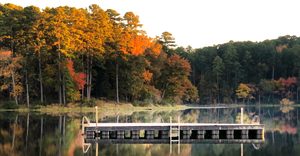Texas’ Fall Colors Are About to Pop, and These Are the Best 10 Spots