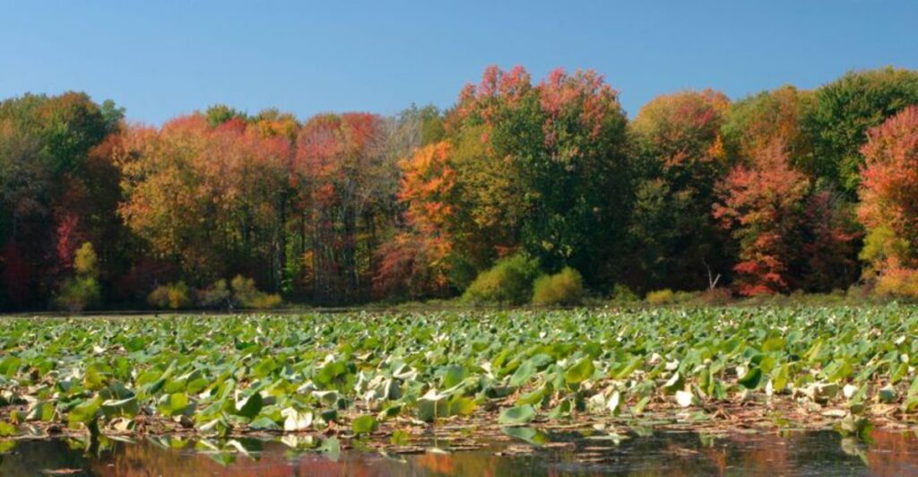 The Biggest State Park In Pennsylvania Is A Multi-Day Adventure Waiting To Blow Your Mind