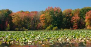 The Biggest State Park In Pennsylvania Is A Multi-Day Adventure Waiting To Blow Your Mind