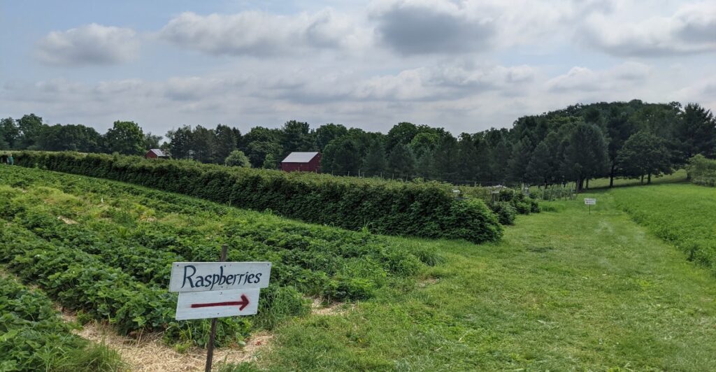The Picturesque Farm In Pennsylvania That Will Make You Feel Like You’ve Stepped Into Bridgerton’s Countryside