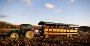 These 11 Pennsylvania Pumpkin Farms Are Full Of Old-Fashioned Fall Charm