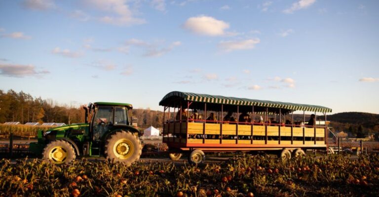 These 11 Pennsylvania Pumpkin Farms Are Full Of Old-Fashioned Fall Charm