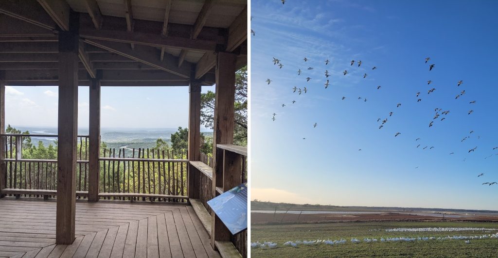 These 11 Texas Bird Sanctuaries Have More to Offer Than Just Beautiful Birds
