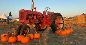 These 8 Texas Pumpkin Farms Are Full Of Fall Surprises You Won’t Expect
