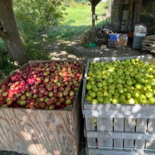 This Cash-Only Ohio Apple Orchard Is A Beloved Old-Fashioned Fall Tradition