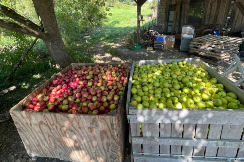 This Cash-Only Ohio Apple Orchard Is A Beloved Old-Fashioned Fall Tradition