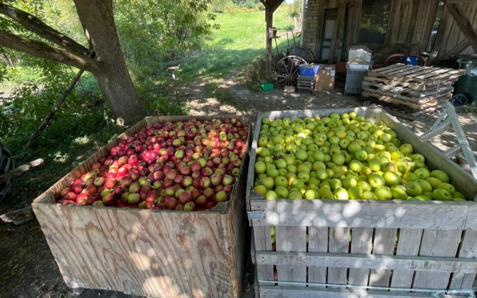 This Cash-Only Ohio Apple Orchard Is A Beloved Old-Fashioned Fall Tradition