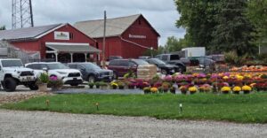 This Charming Ohio Town Has A Pumpkin Patch Locals Can’t Stop Visiting
