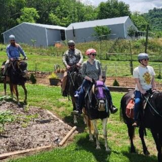This Charming Tennessee Farm Lets You Feed Friendly Horses and Ride Through Picture-Perfect Trails