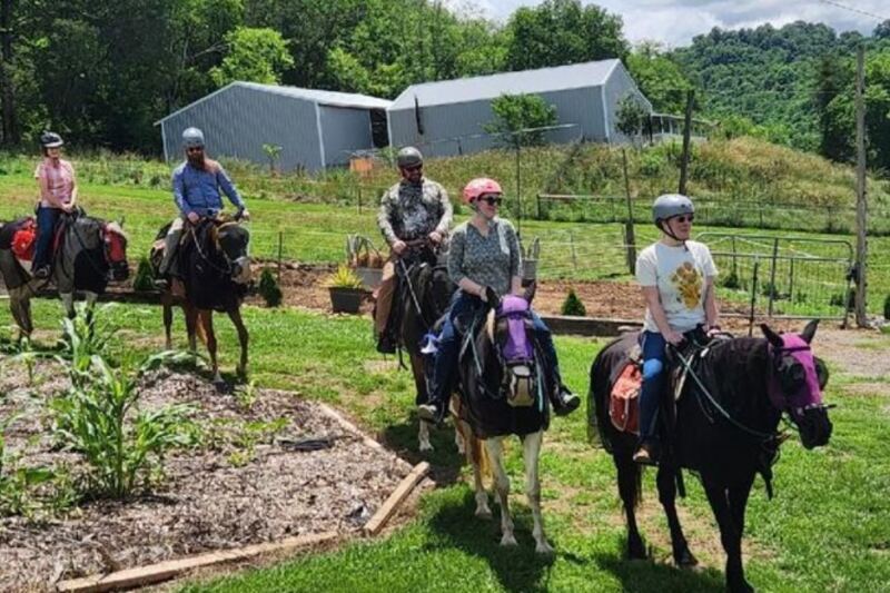 This Charming Tennessee Farm Lets You Feed Friendly Horses and Ride Through Picture-Perfect Trails
