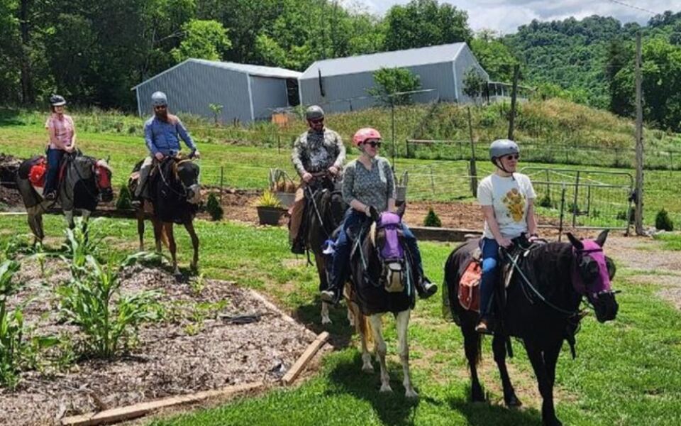 This Charming Tennessee Farm Lets You Feed Friendly Horses and Ride Through Picture-Perfect Trails