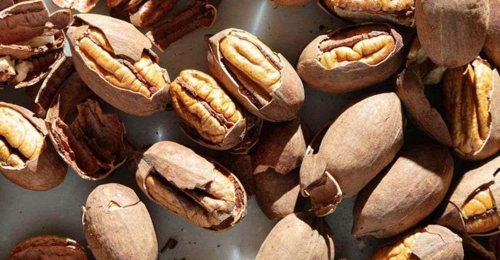 This Charming Texas Town Is So Obsessed With Pecans, It Built Its Entire Identity Around Them