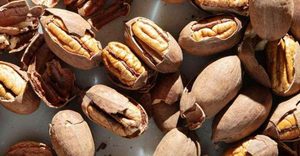 This Charming Texas Town Is So Obsessed With Pecans, It Built Its Entire Identity Around Them