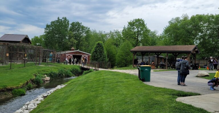 This Family-Run Illinois Wolf Ranch Gets You Up Close to Rescued Wolves, a Tiger, and a Bear