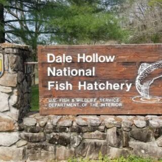 This Hidden Tennessee Attraction Lets You Get an Up-Close Look at Thousands of Fish for Free