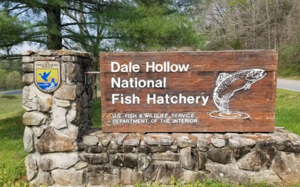 This Hidden Tennessee Attraction Lets You Get an Up-Close Look at Thousands of Fish for Free
