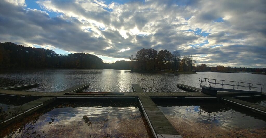 This Huge Pennsylvania Lake Has Become A Total Breeding Ground For Water Snakes
