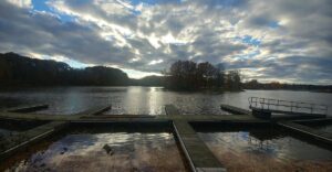 This Huge Pennsylvania Lake Has Become A Total Breeding Ground For Water Snakes