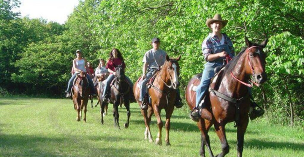 This Illinois Farm Lets You Ride Gentle Horses on a Peaceful Hour-Long Trail Through the Forest