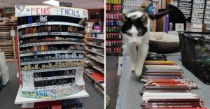 This Indiana Art Store Is Packed With Hard-to-Find Creative Supplies