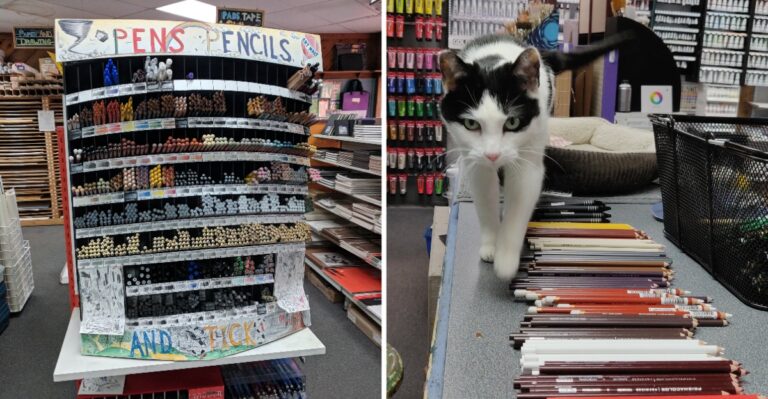 This Indiana Art Store Is Packed With Hard-to-Find Creative Supplies