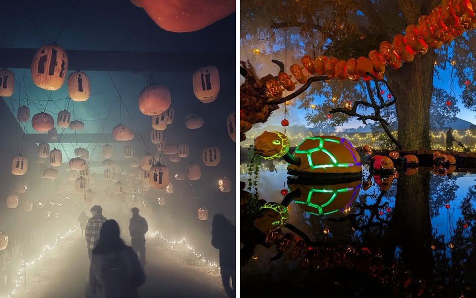 This Magical Texas Pumpkin Festival Glows With 10,000 Pumpkins