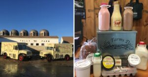 This Massachusetts Dairy Farm Still Bottles Its Own Milk Just Like Years Ago