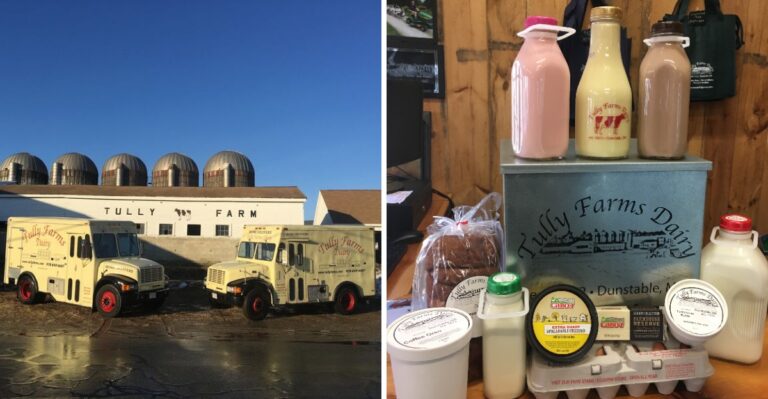 This Massachusetts Dairy Farm Still Bottles Its Own Milk Just Like Years Ago