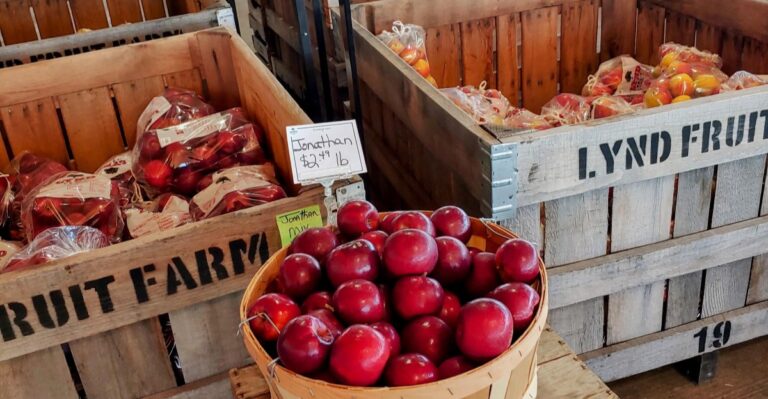 This Massive Central Ohio Farm Is Perfect For Fall Apple Picking
