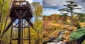 This Northeast Ohio Arboretum Lets You Walk Through Stunning Fall Treetops