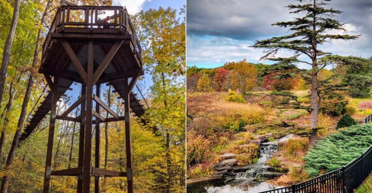 This Northeast Ohio Arboretum Lets You Walk Through Stunning Fall Treetops