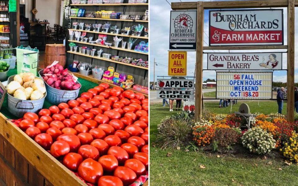 This Ohio Apple Orchard Is Among America’s Best And Fall Is The Perfect Time To Visit