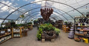 This Overlooked Illinois Garden Nursery Sells Perennials So Affordable Regulars Fill Their Trunks