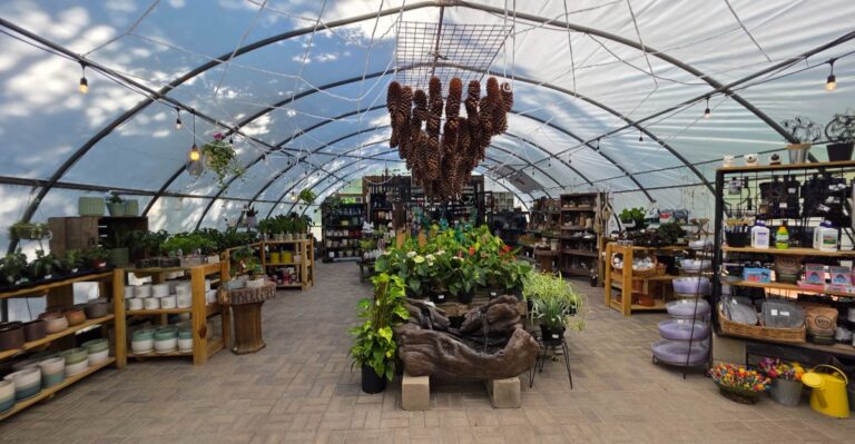 This Overlooked Illinois Garden Nursery Sells Perennials So Affordable Regulars Fill Their Trunks