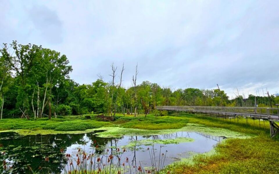 This Peaceful Tennessee Wetland Feels Miles Away From Civilization, but It Isn’t