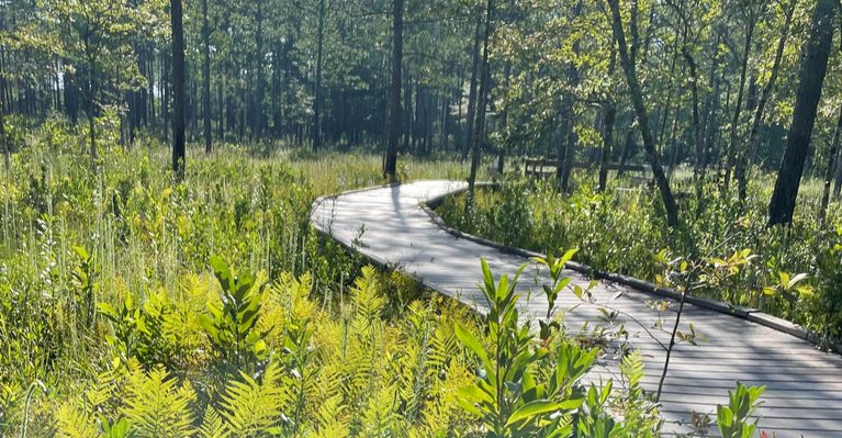 This Peaceful Texas Boardwalk Is Only 1 Mile Roundtrip but Feels Miles From Everything.