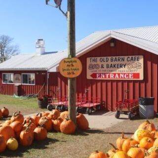 This Pennsylvania Farm Goes All Out For Halloween With A Pumpkin-Filled Fall Experience