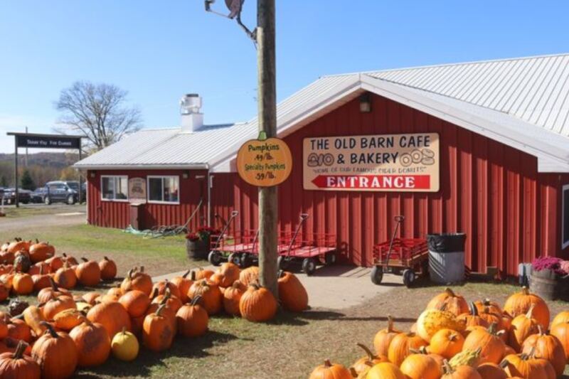This Pennsylvania Farm Goes All Out For Halloween With A Pumpkin-Filled Fall Experience