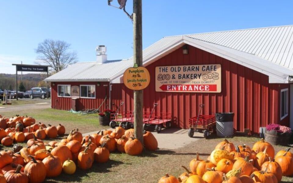 This Pennsylvania Farm Goes All Out For Halloween With A Pumpkin-Filled Fall Experience